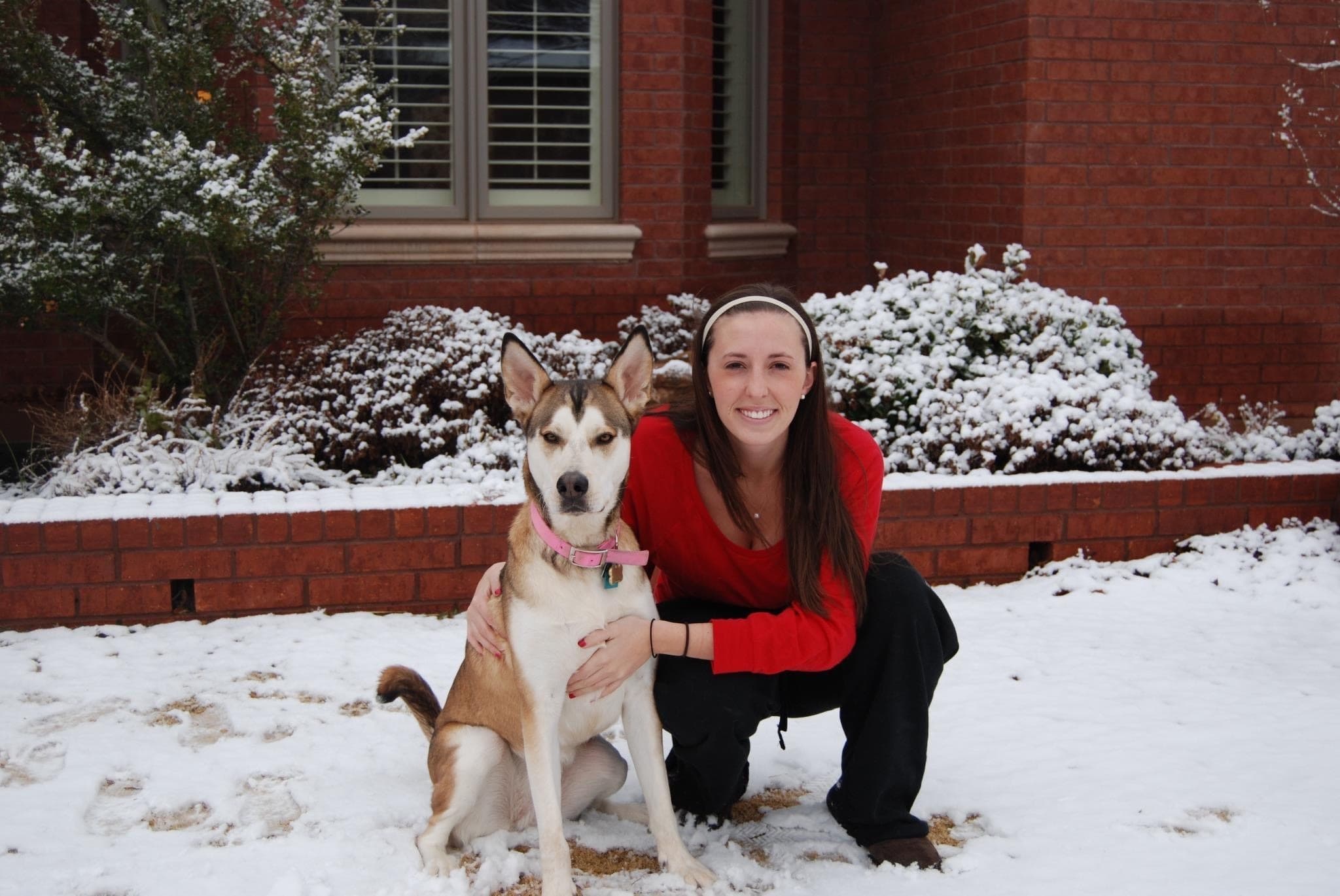 young woman in red sweater crouches next to young dog in the snow