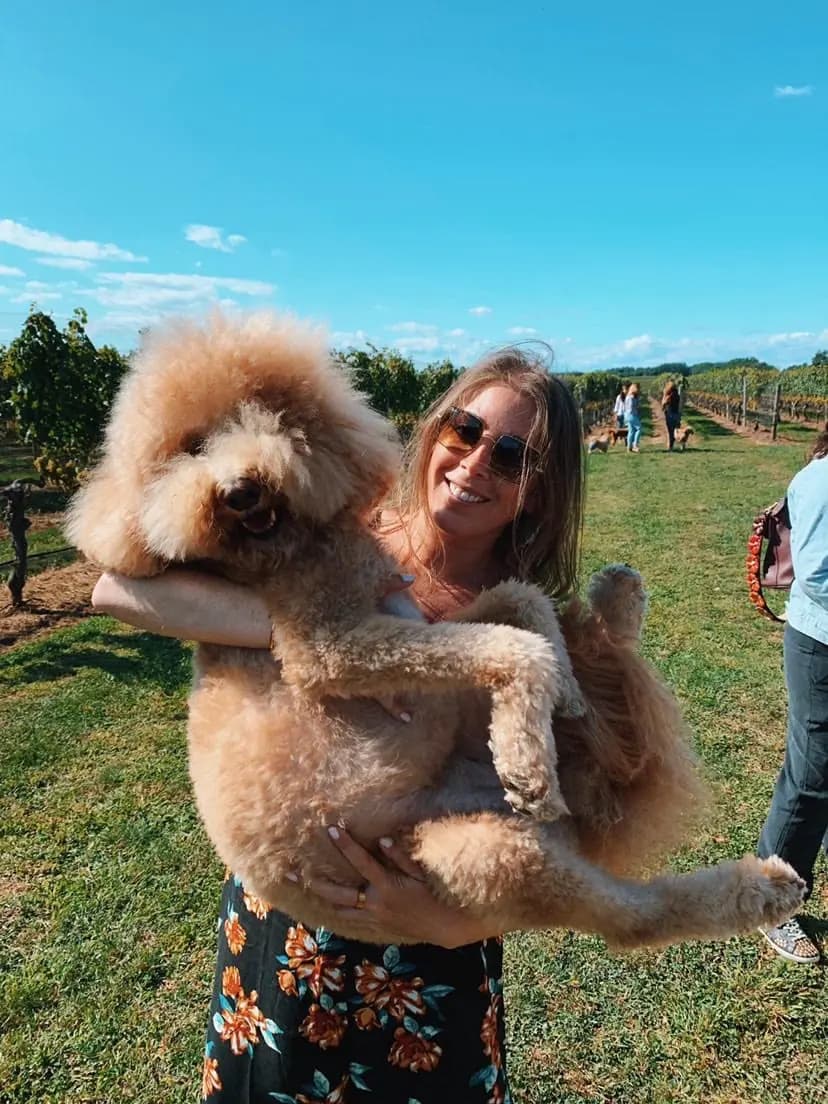 A woman holding Sawyer, a fluffy apricot doodle, in a sunny field