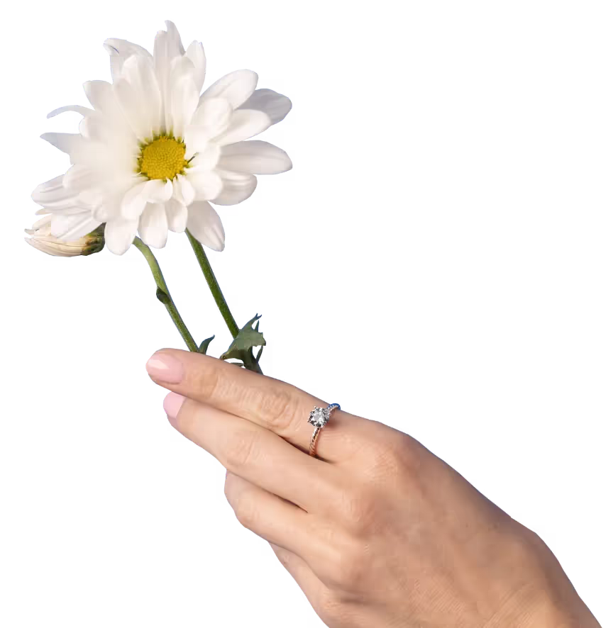 A hand wearing a diamond ring, holding a white daisy.