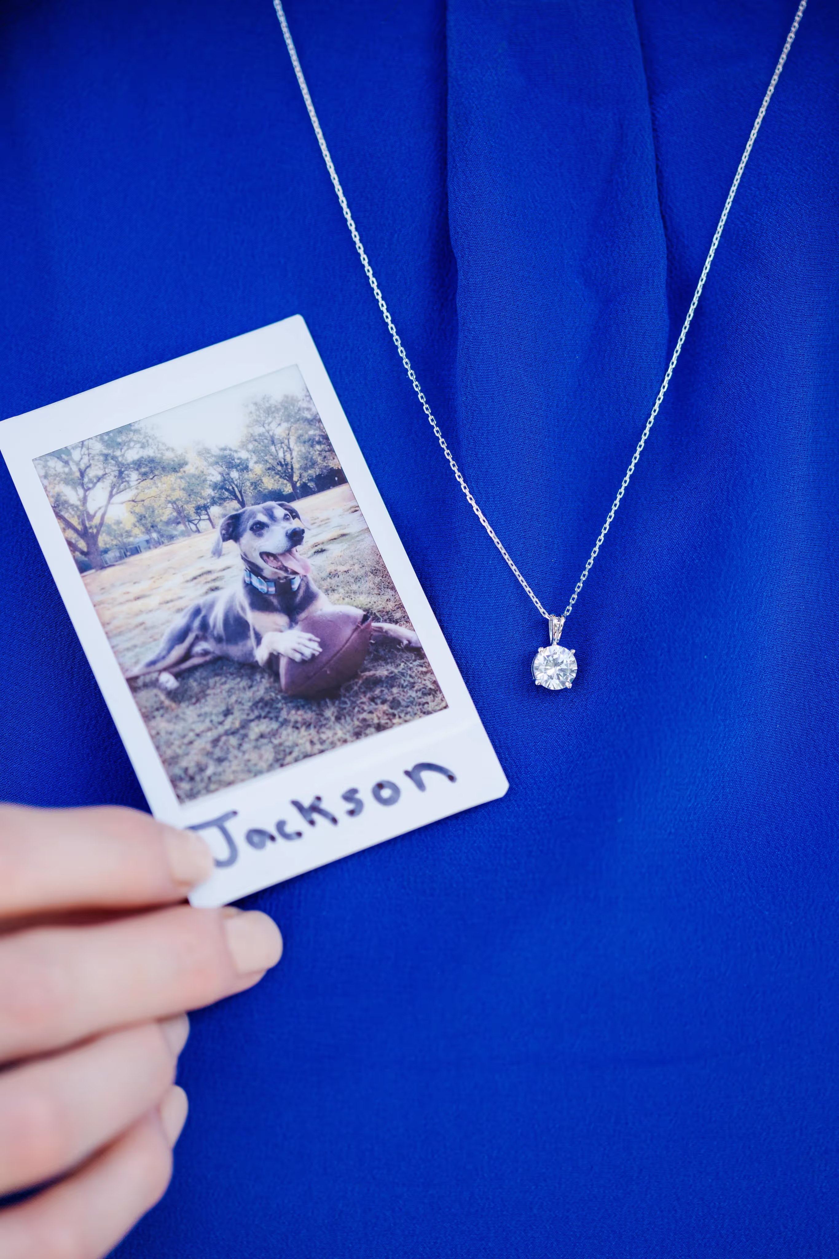 Hand holding a Polaroid photo of a dog named Jackson playing with a football, next to a silver chain necklace with a solitaire diamond pendant on blue fabric.