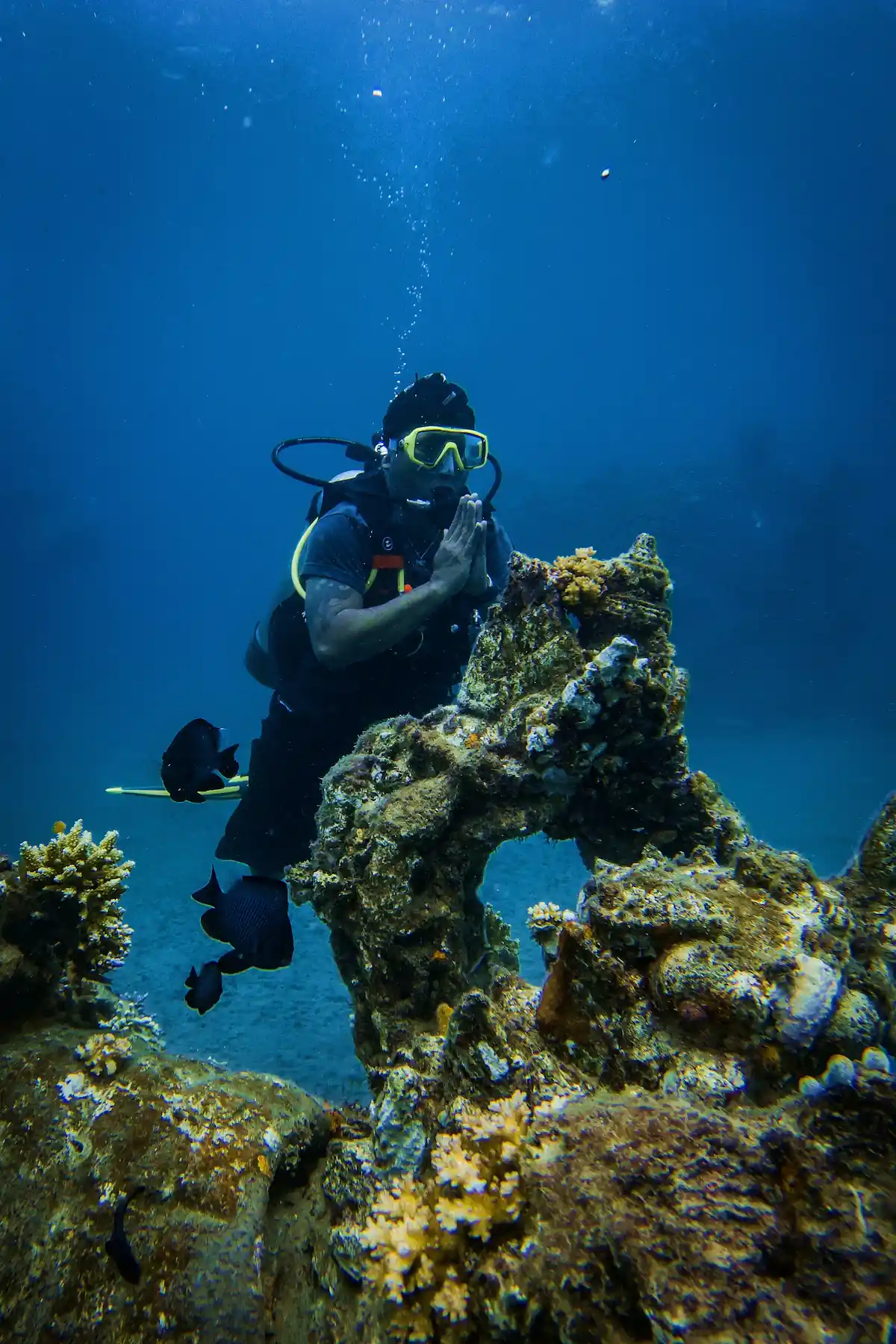 Scuba diver swimming near coral reefs.