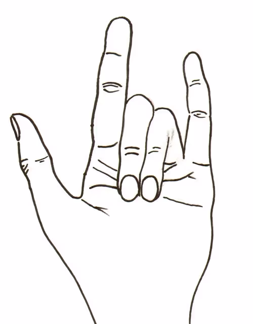I love you in ASL.
