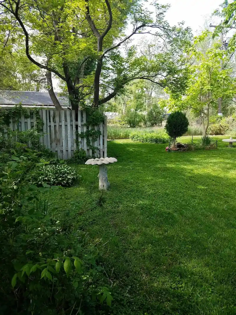 Pat's backyard after being landscaped.
