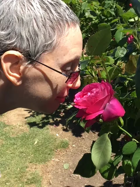 Maxx smelling a rose.