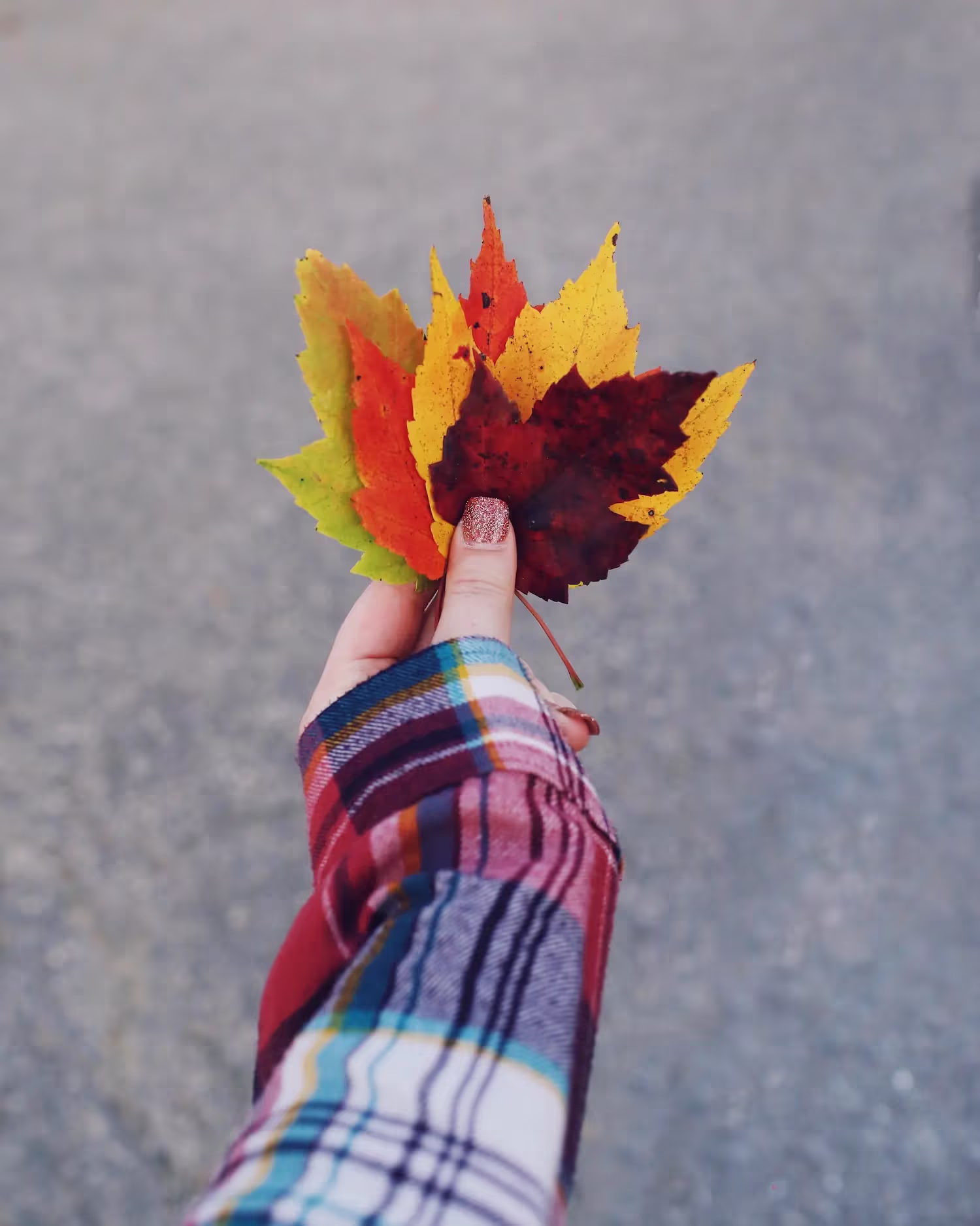 A woman holding multiple colored leaves.