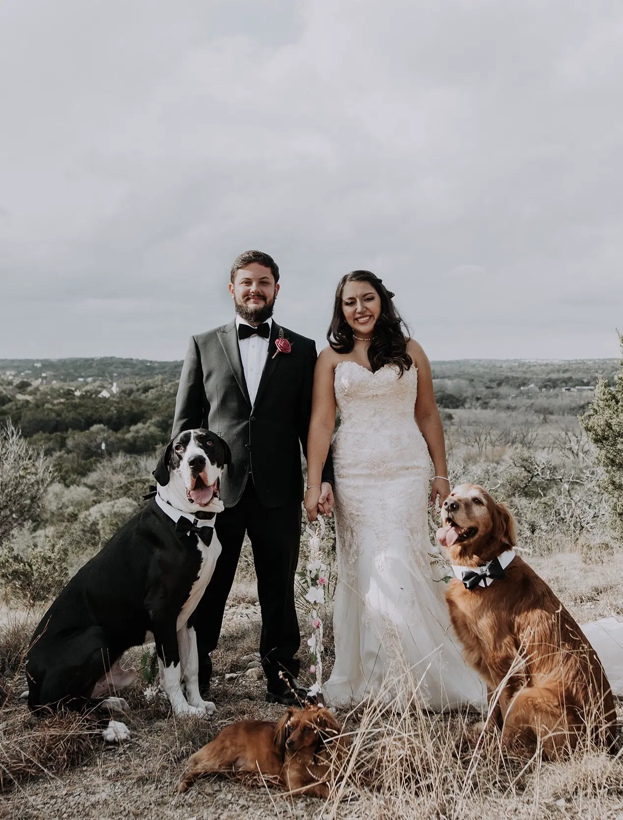 A bride and groom posing outdoors with their three dogs.