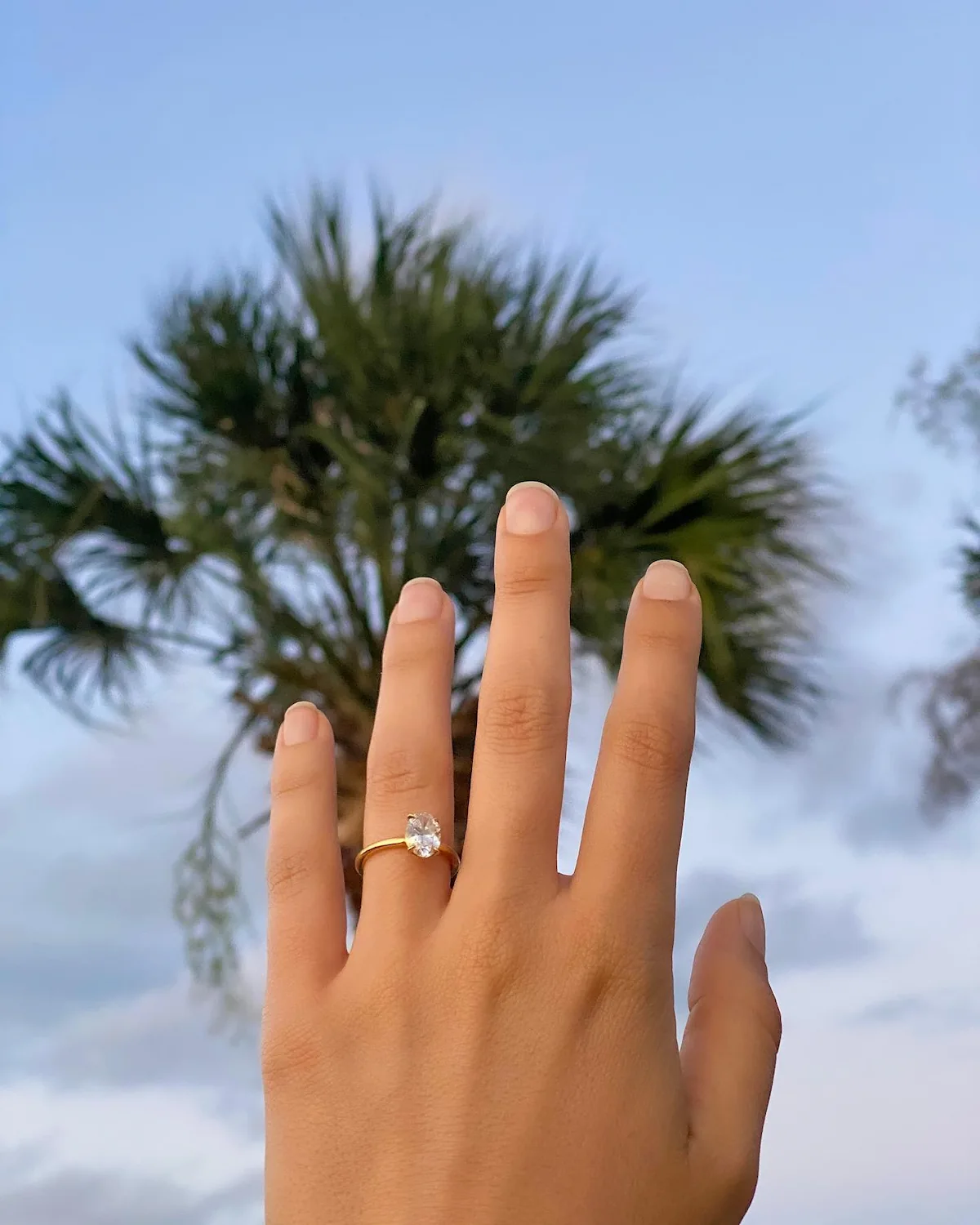 Diamond ring on hand in front of a palm tree.