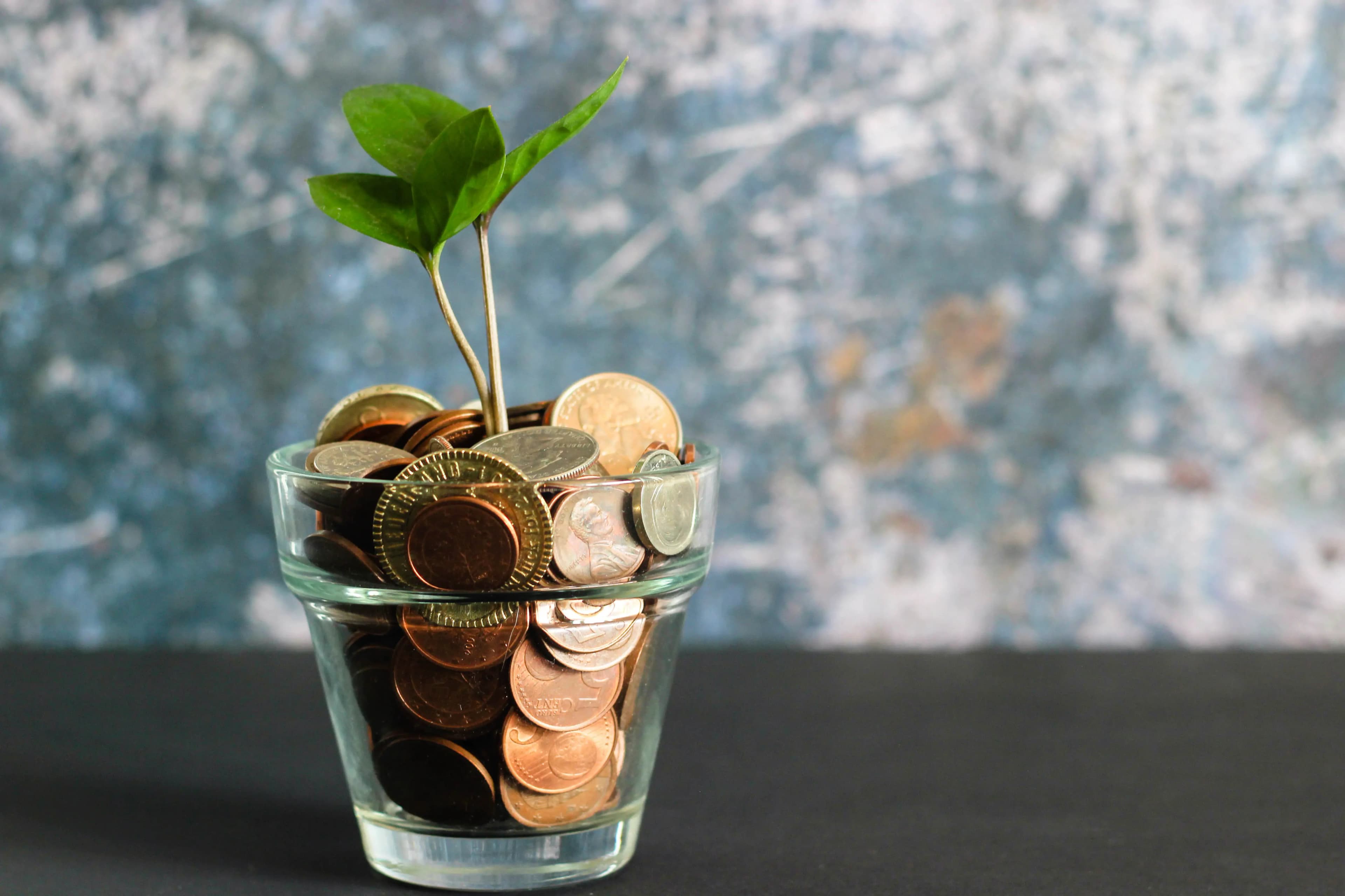 A small plant sprouting from a glass jar full of coins.