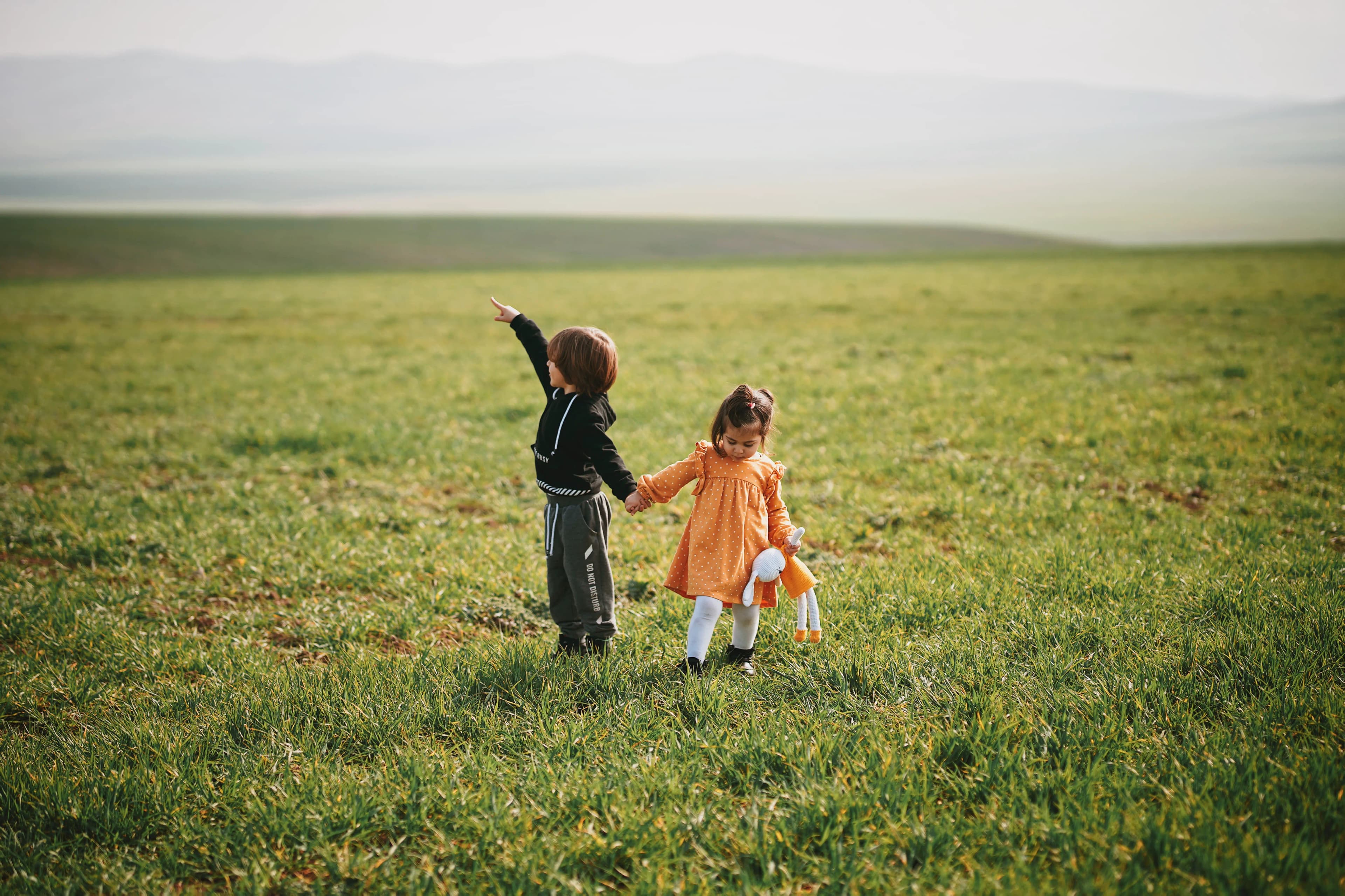 Two small children holding hands in a wide green field