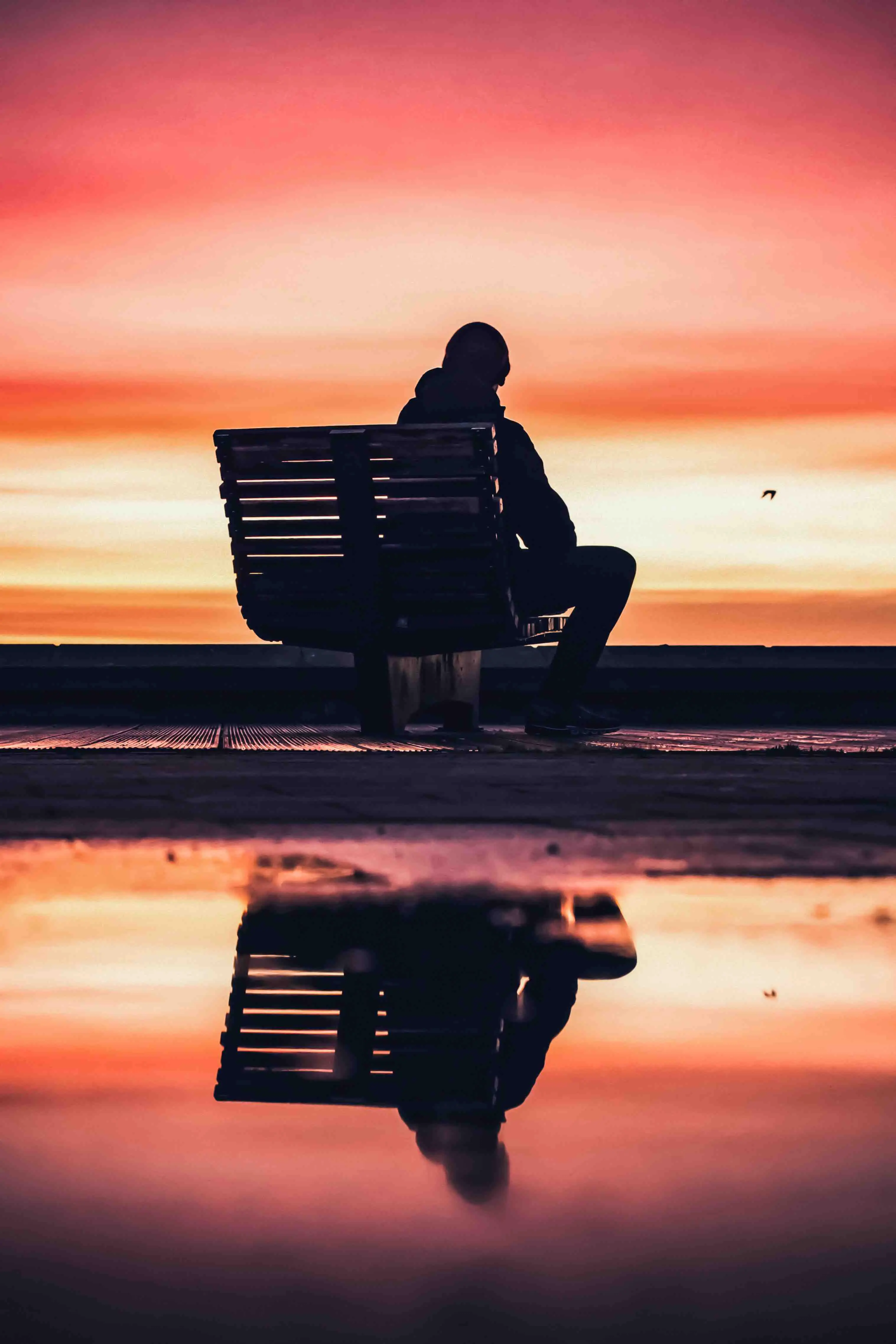 person sitting on bench at sunset