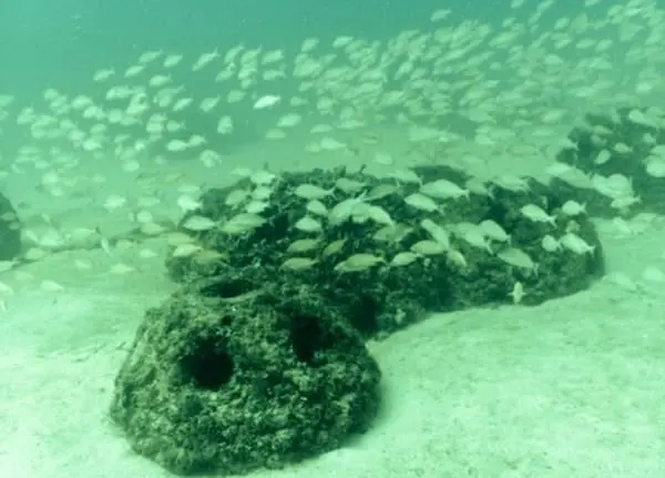 Concrete memorial reef structure on the sandy sea floor, surrounded by a school of fish.