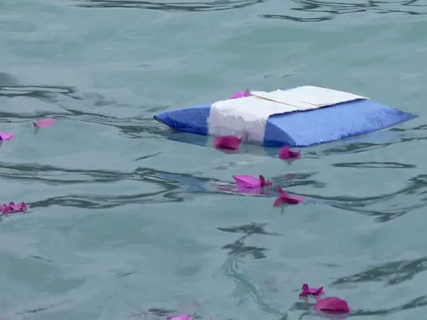 Blue and white biodegradable water urn floating among pink flower petals.