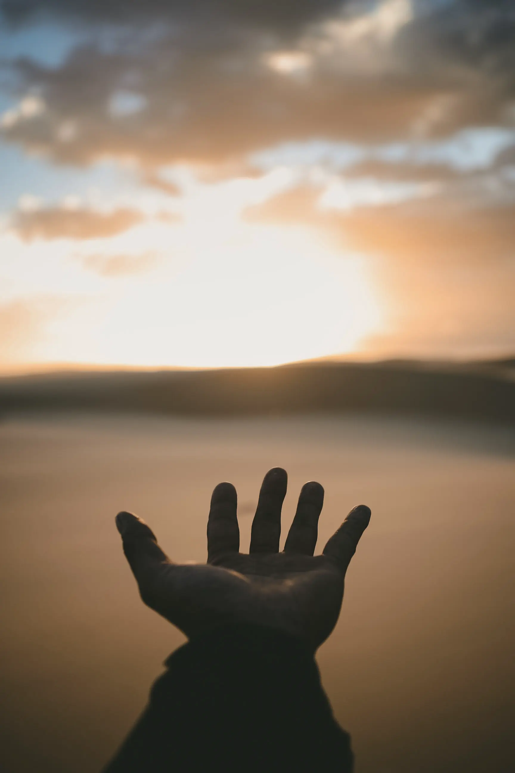 A silhouetted hand reaches toward a glowing sunset sky.