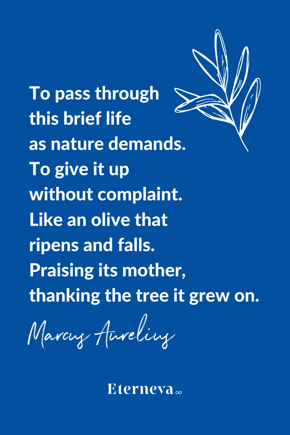 Quote card: Marcus Aurelius on giving up life without complaint, like an olive that ripens and falls.