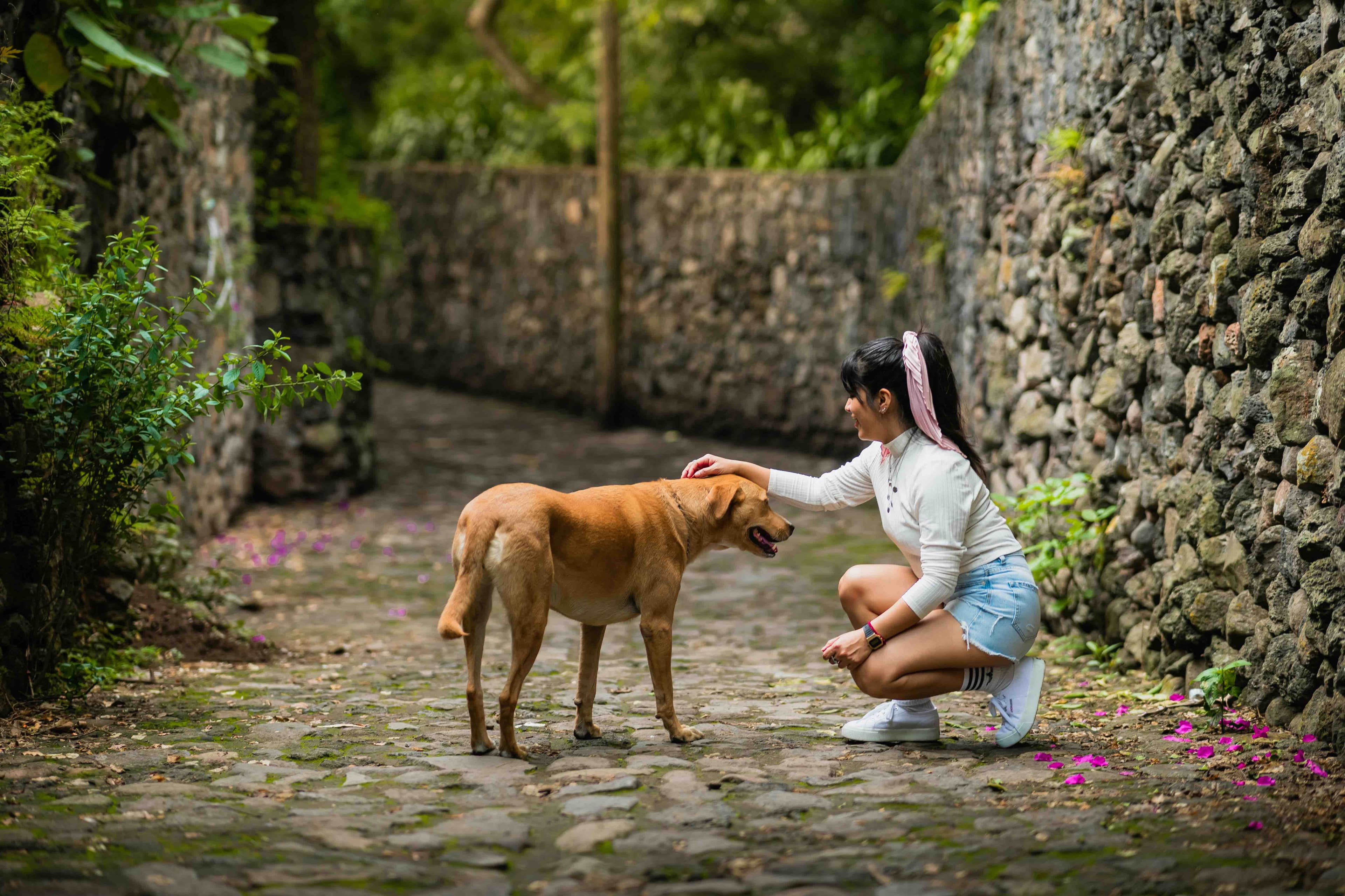 A woman crouching on a stone path to pet a tan dog